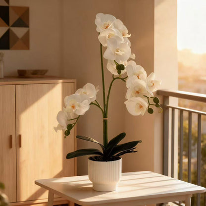 Elegante künstliche Orchideen-Pflanze für die Home Decor Präsentation