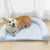 Orthopädisches Lounger Hundebett