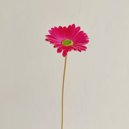 Dekorative künstliche Gerbera-Blume