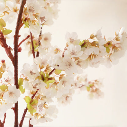 Elegante Botanische Dekoration