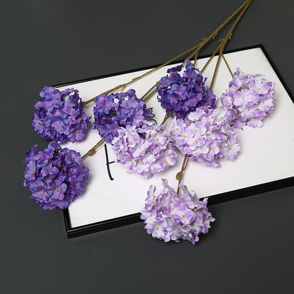 Dekorative getrocknete Blumenstängel für die Wohnkultur