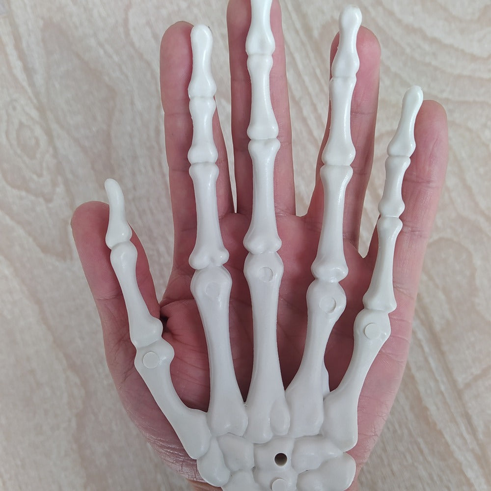 Anatomisches Hand-Skelettmodell Brehn