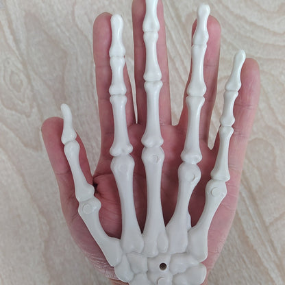Anatomisches Hand-Skelettmodell Brehn