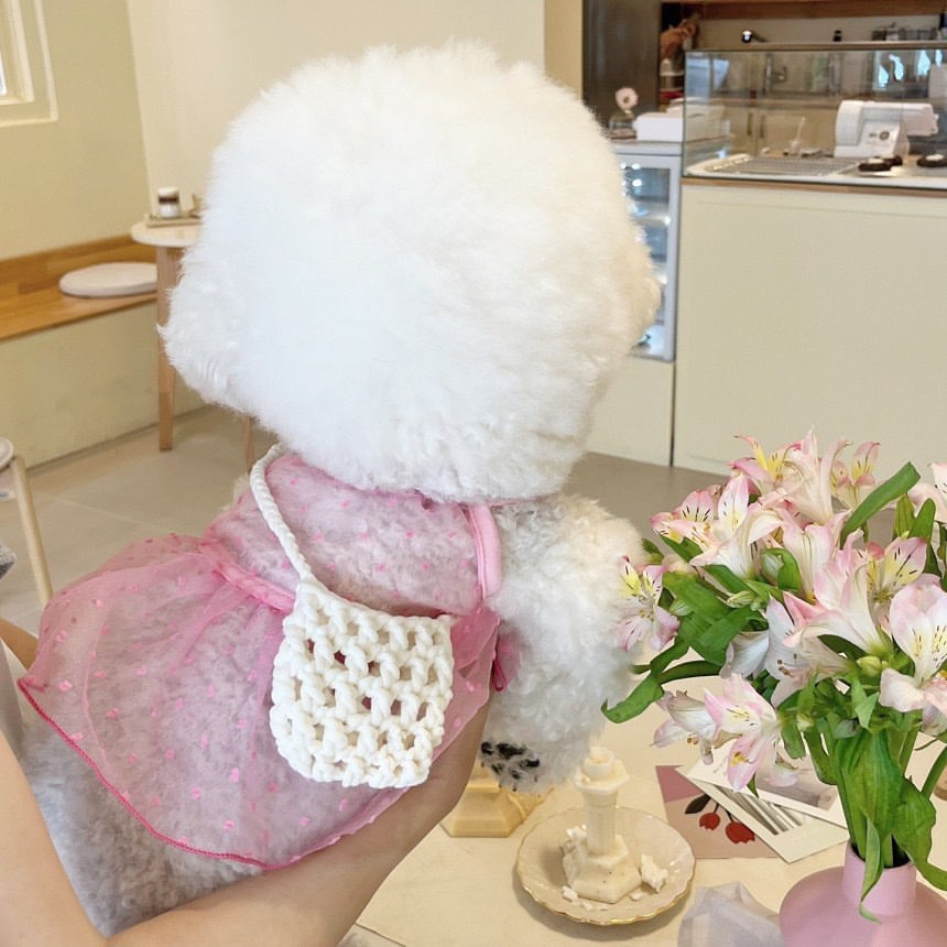Kleines Hund Tüll Punkt Tutu Kleid mit Geschirrzugang & Verstellbaren Rückenriemen
