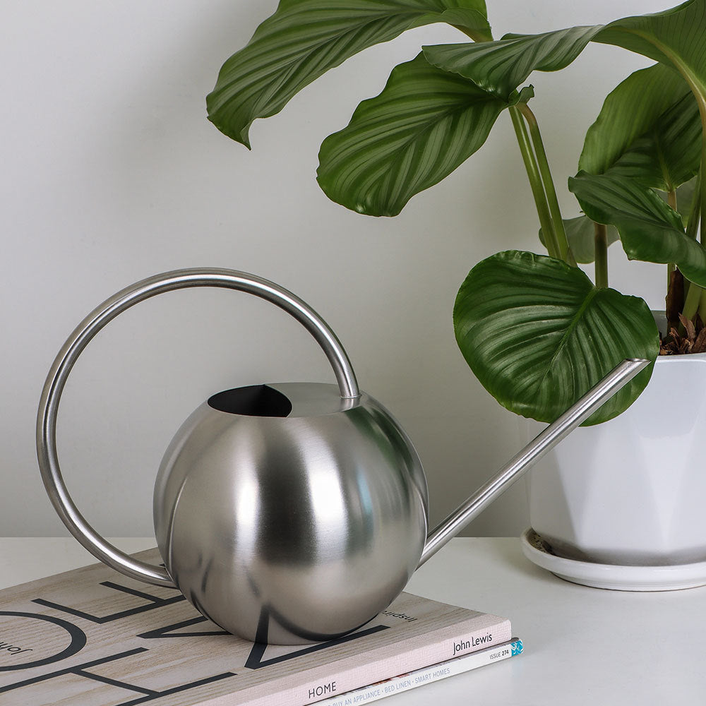 Stylische moderne Gießkanne