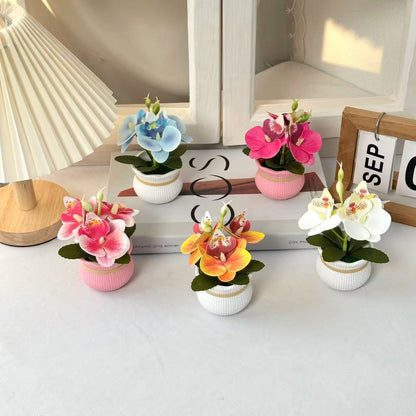 Dekorative Topfpflanzen-Orchideenarrangement für die Wohnkultur