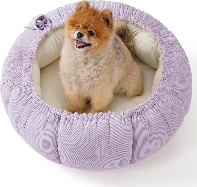 Gemütliches Rundes Kürbisförmiges Hundebett