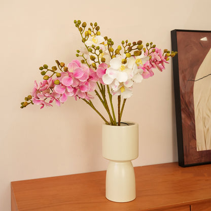 Elegante Orchideen-Stängel Brehn