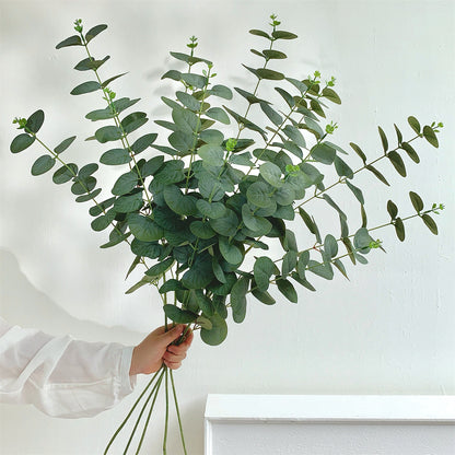 Dekorativer Eukalyptus-Stiel