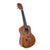 Premium Mahagoni Akustik Ukulele Bundle Brehn