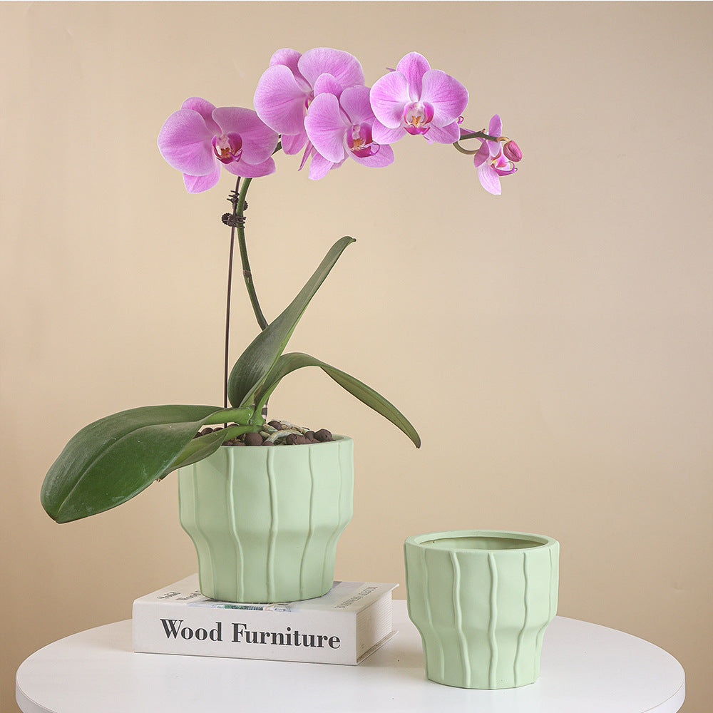 Eleganter Pflanzenkübel für schöne Indoor-Pflanzenarrangements