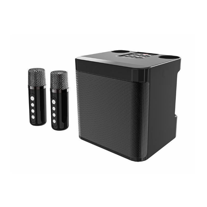 Portables Karaoke-Soundsystem Brehn