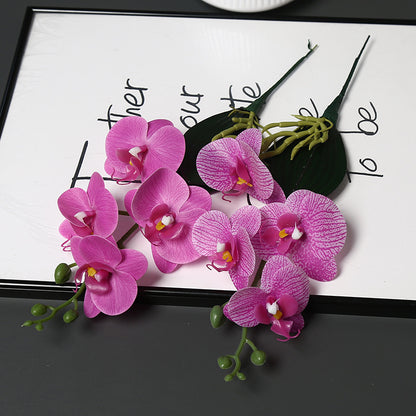 Dekorative Orchideenstängel für die Heimdekoration