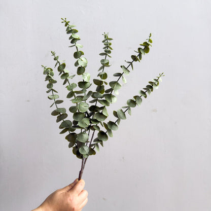 Eukalyptus Kunststamm
