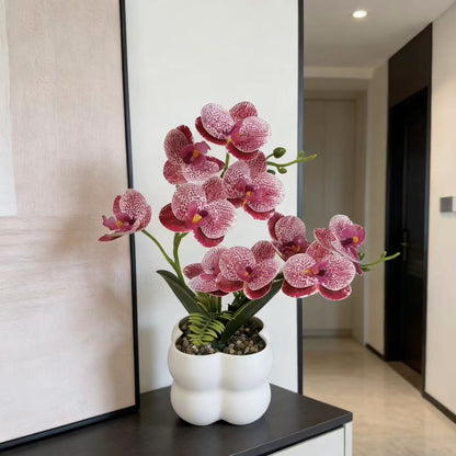 Lebensechte Orchideen-Blumenanzeige