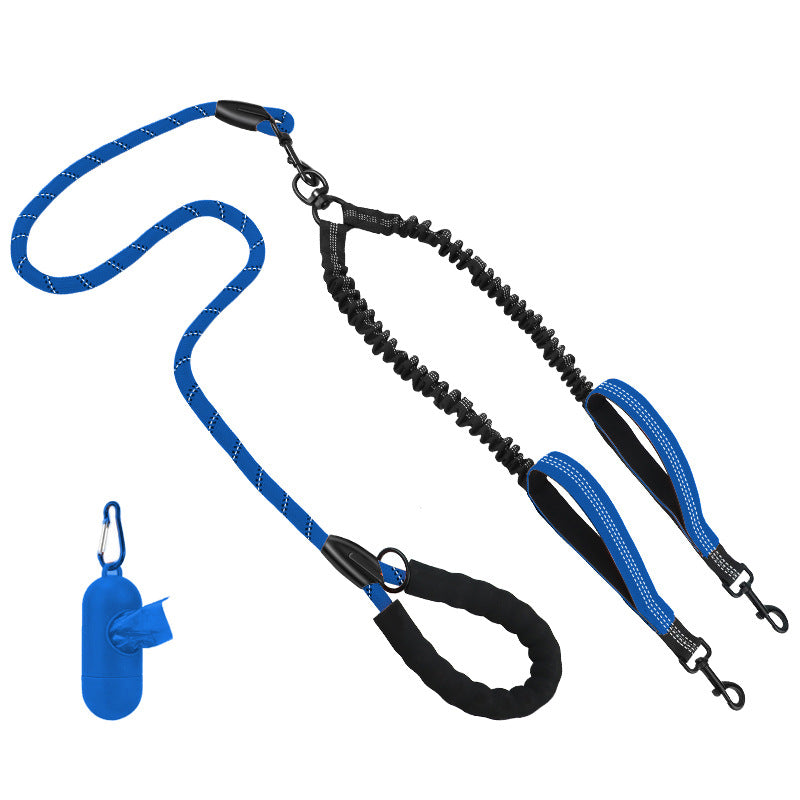 Hundetraining Leine