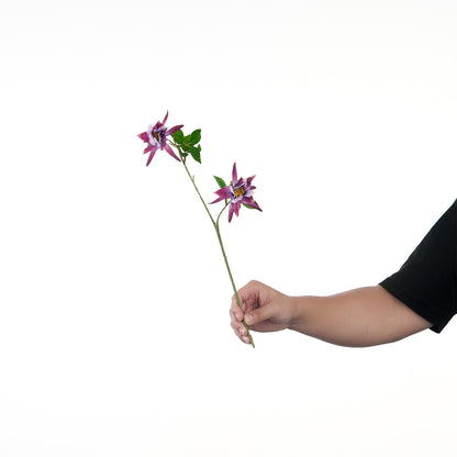 Lebensechte Mehrblütenblumenstiel