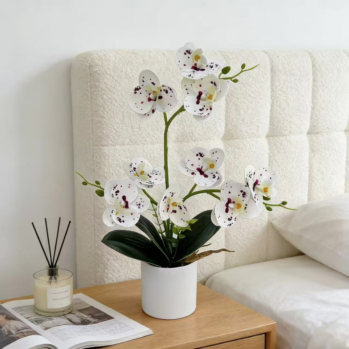 Dekorative Orchidee für die Wohnkulturanzeige