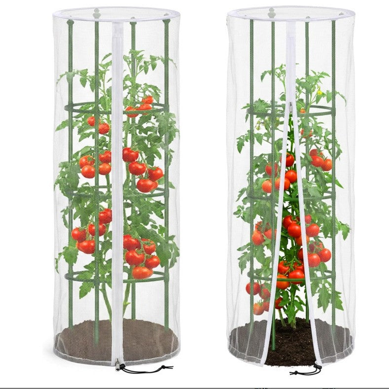 Gartenpflanze Unterstützung Brehn