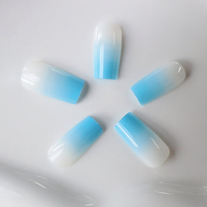 Ombre Acrylnageldesigns Brehn