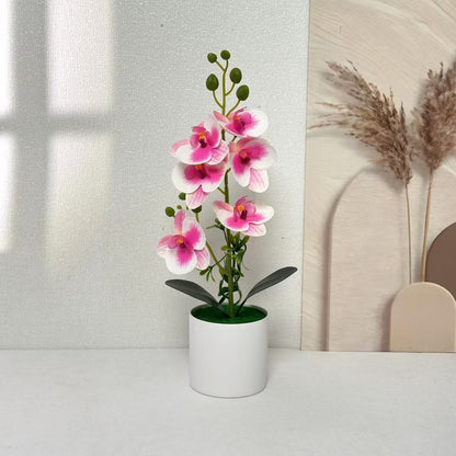Elegante Orchideen Floral Centerpiece