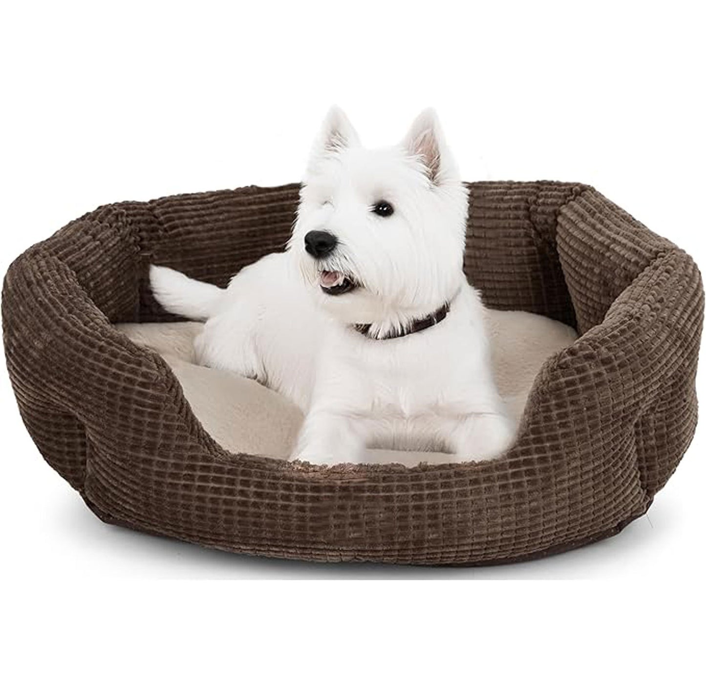 Gemütliches orthopädisches Hundebett 1785335800
