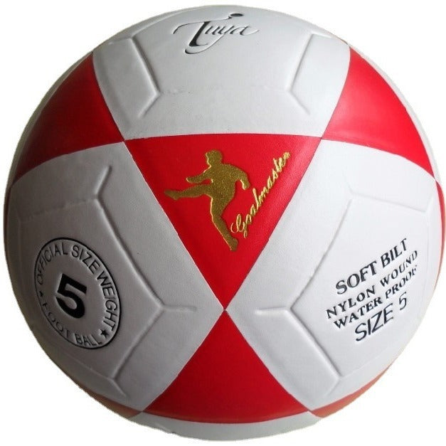 Damen Fußball Brehn