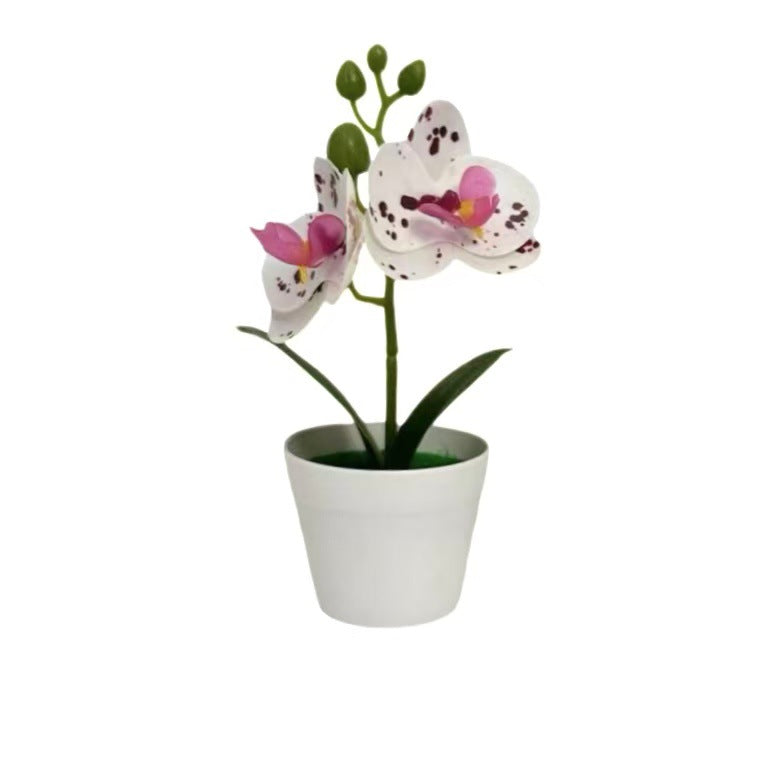 Künstliche Orchideenpflanze für dekorative Wohnanzeige und Styling