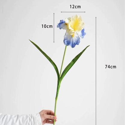 Dekorativer Iris-Blumenstiel