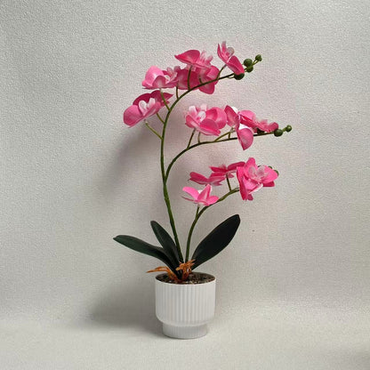Realistische künstliche Orchideenpflanze mit dekorativem Topf