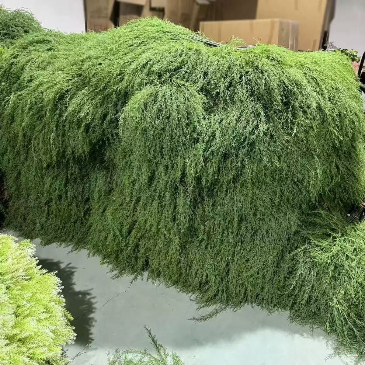 Lush Botanische Hängende Farn Dekoration