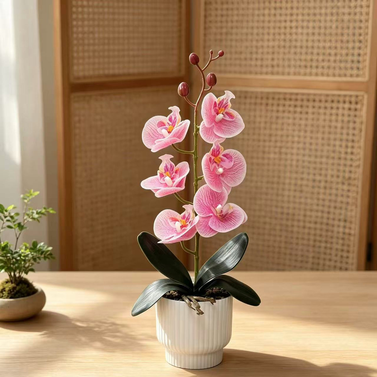 Stylisches Faux-Orchideenpflanzenarrangement
