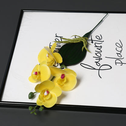 Dekorative Orchideenstängel für die Heimdekoration