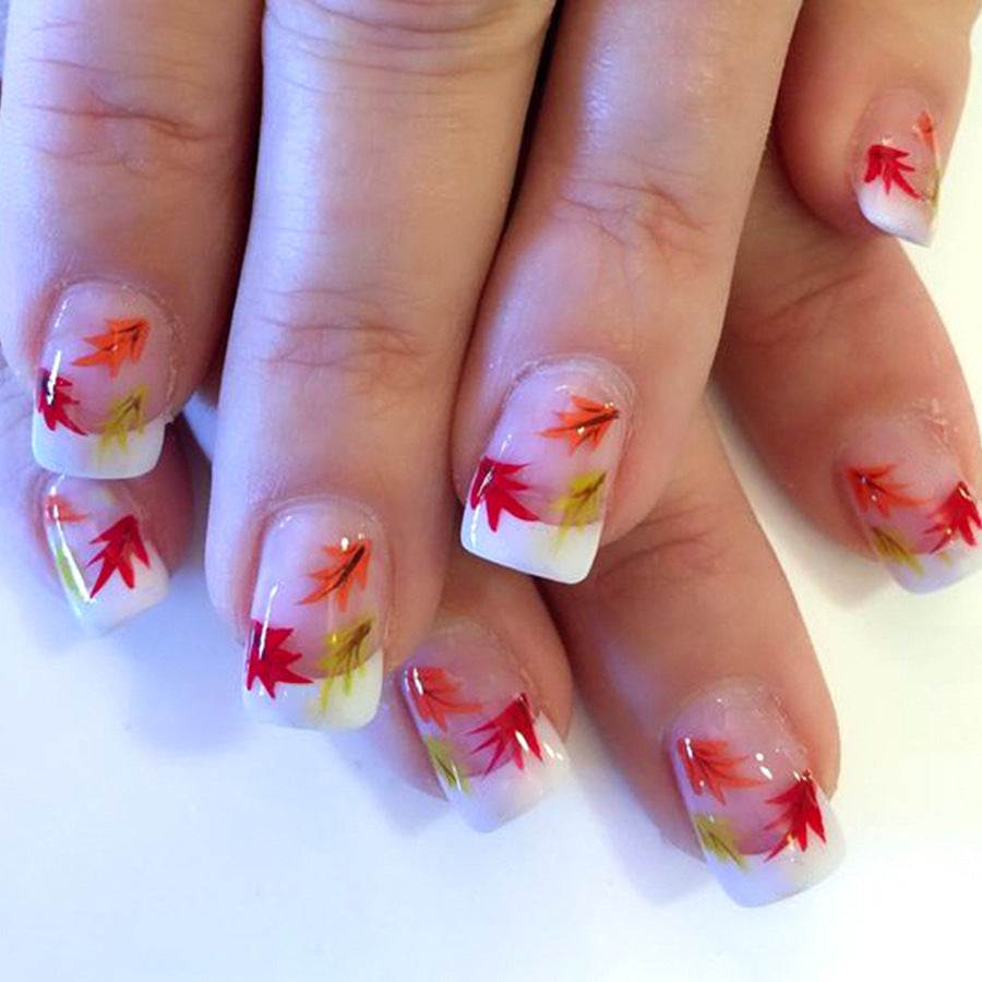 Herbst-Themen-Acryl-Nagelkunst Brehn