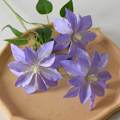Dekorativer floraler Clematis-Stängel