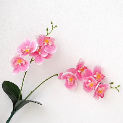 Dekorative Orchideenarrangement