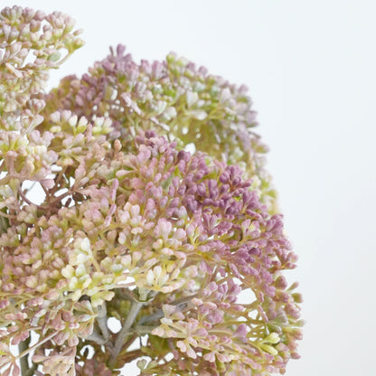 Lebensechte botanische Stielanordnung