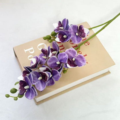 Dekorative Orchidee für die Innenraumgestaltung