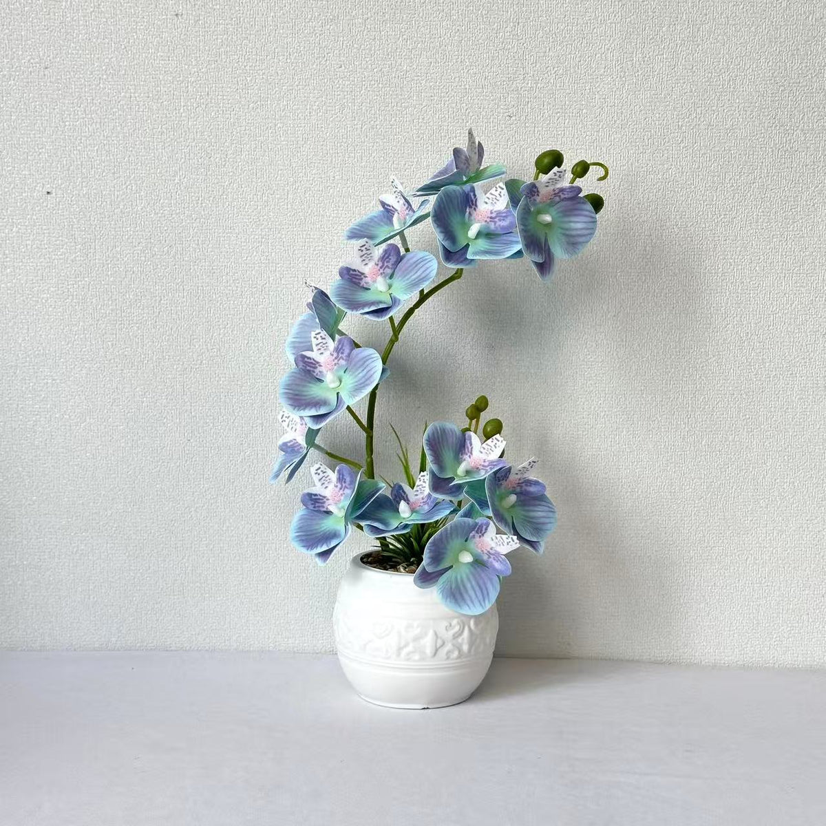 Premium Orchideenpflanzenarrangement