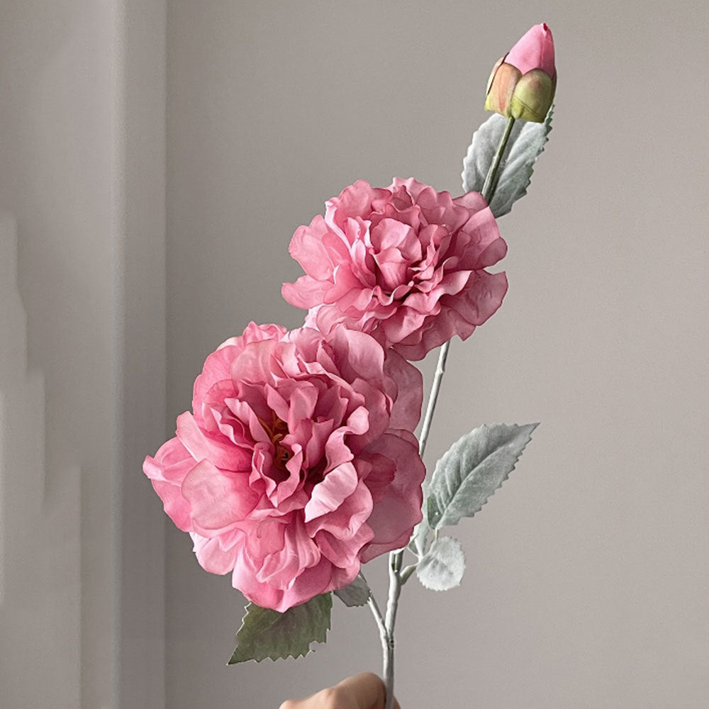 Realistische Pfingstrose Blumenstiel