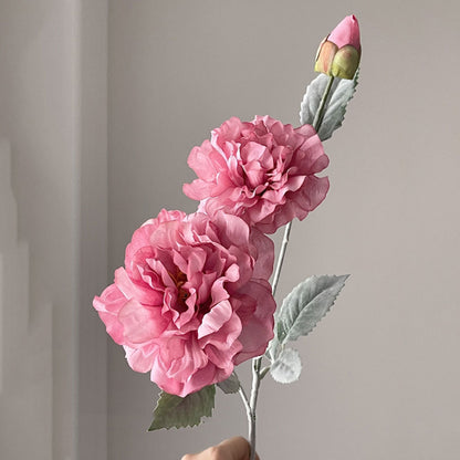 Realistische Pfingstrose Blumenstiel