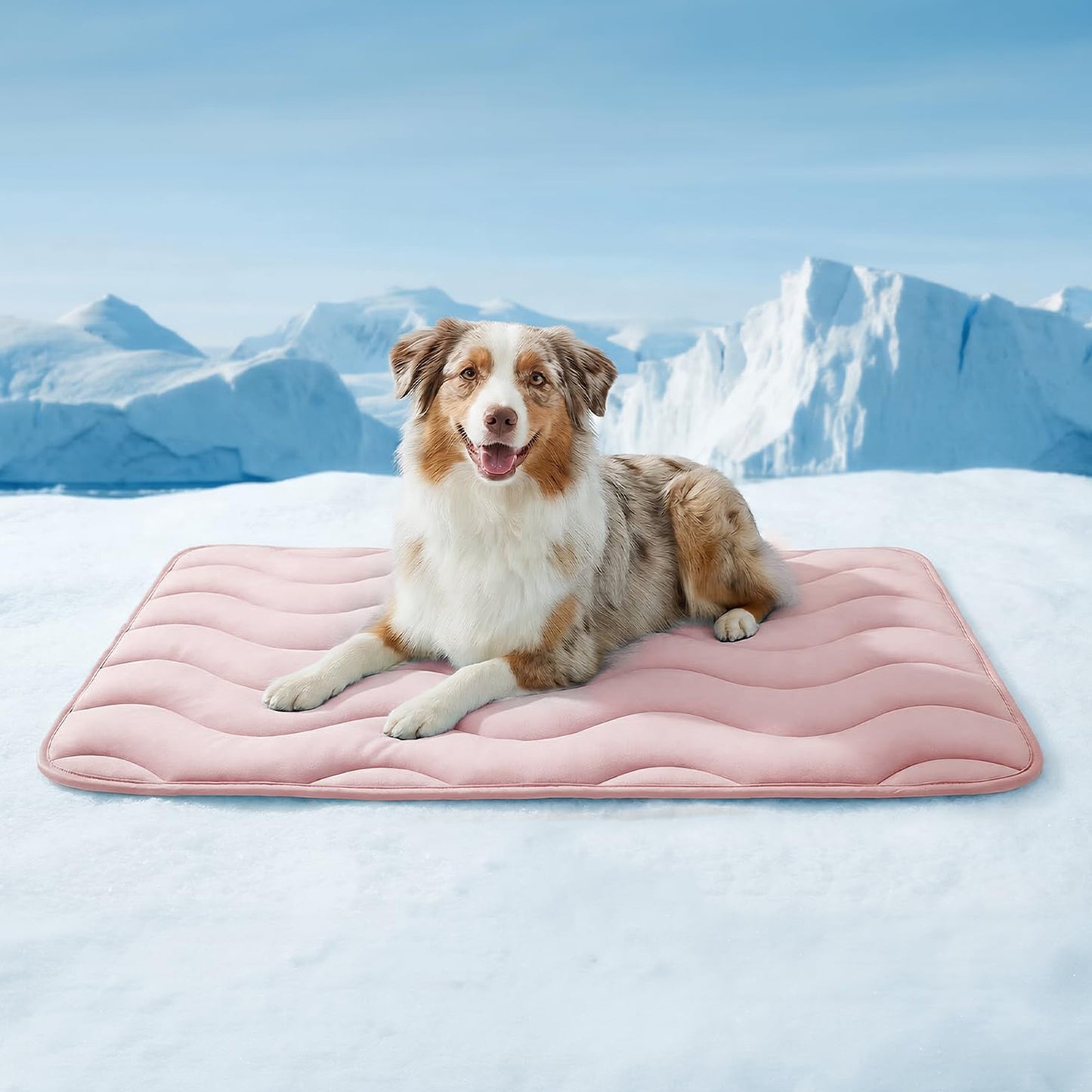 Damen orthopädisches Hundebett Brehn