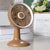 Damen Tischventilator Brehn