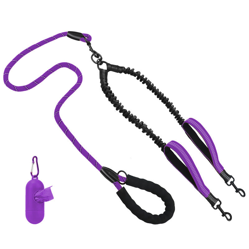 Hundetraining Leine