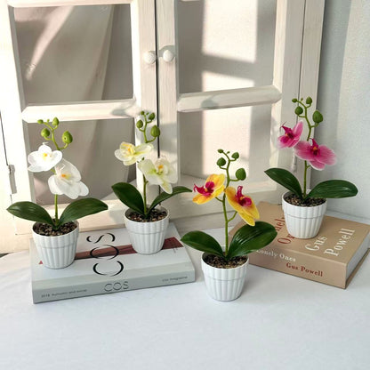 Lebensechte Orchidee Pflanze in dekorativem Keramiktopf für Dekor