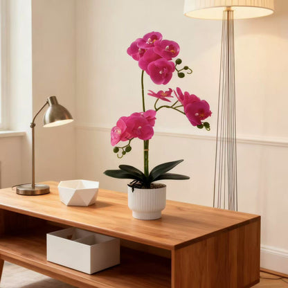 Elegante künstliche Orchideen-Pflanze für die Home Decor Präsentation
