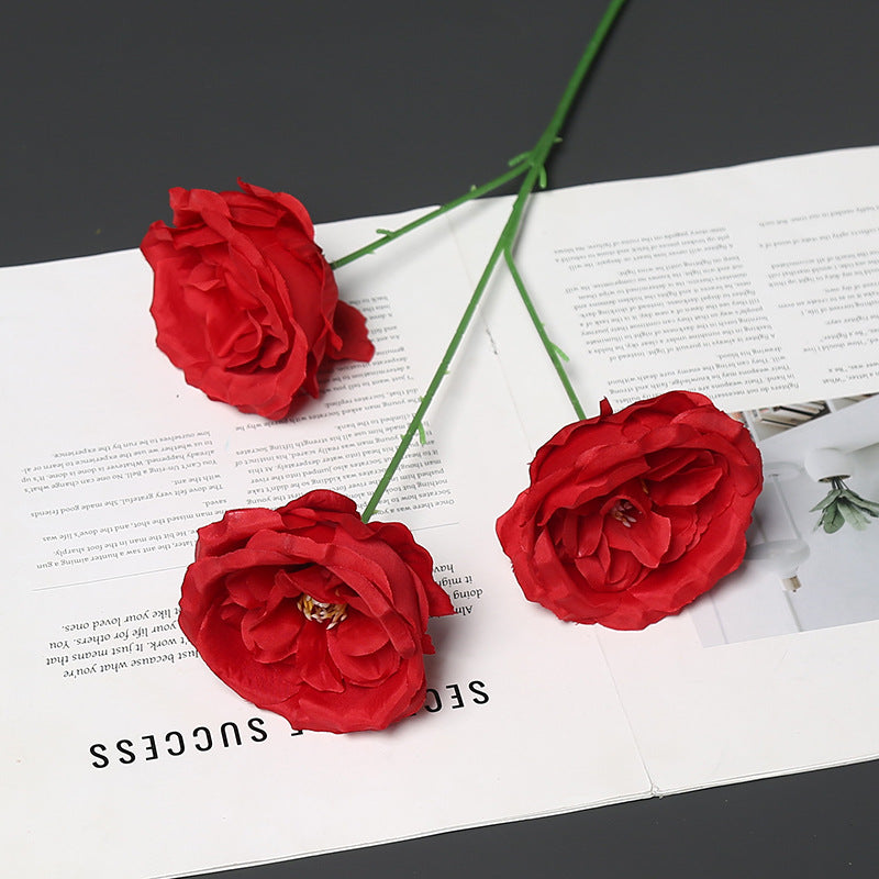 Elegante Pfingstrose Blumenstiel für die Heimdekoration