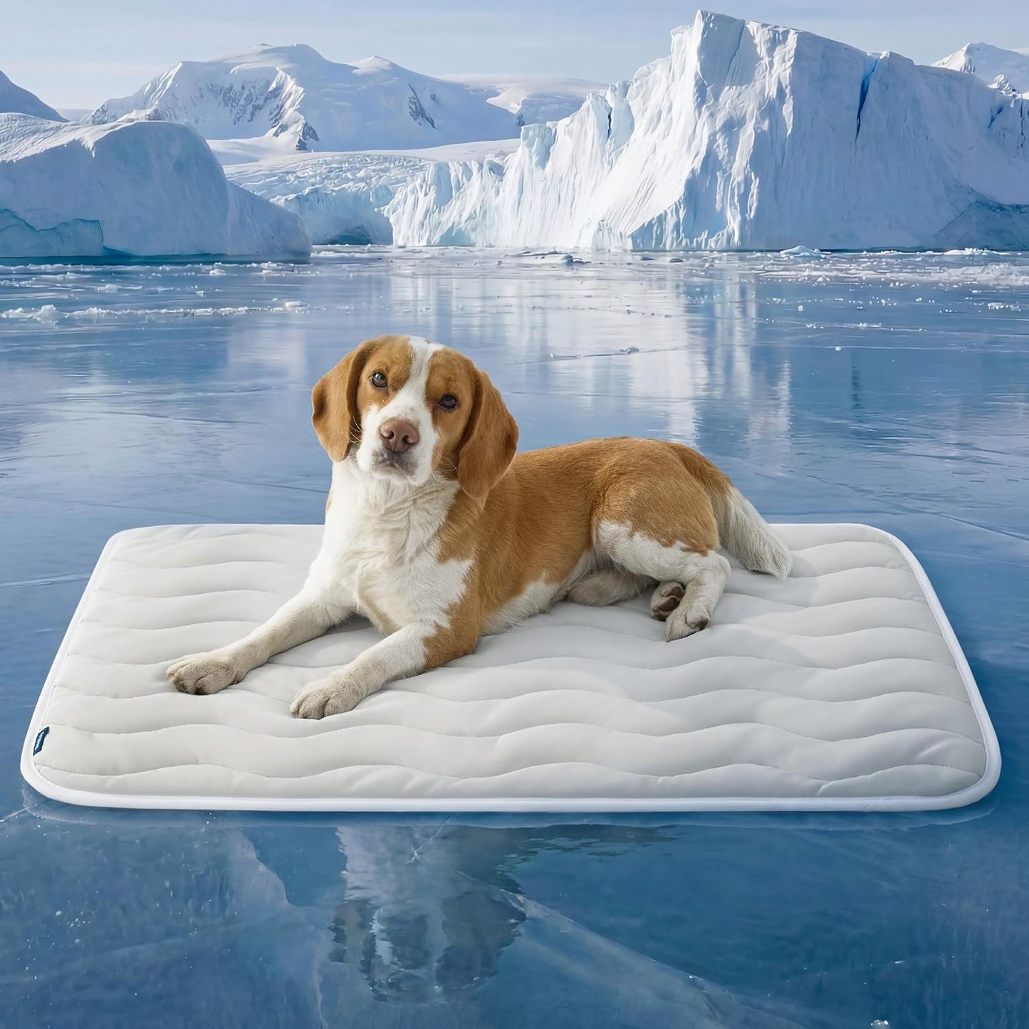 Unisex nan orthopädisches Hundebett mit viscoelastischem Schaumkern und erhöhtem Rand Brehn
