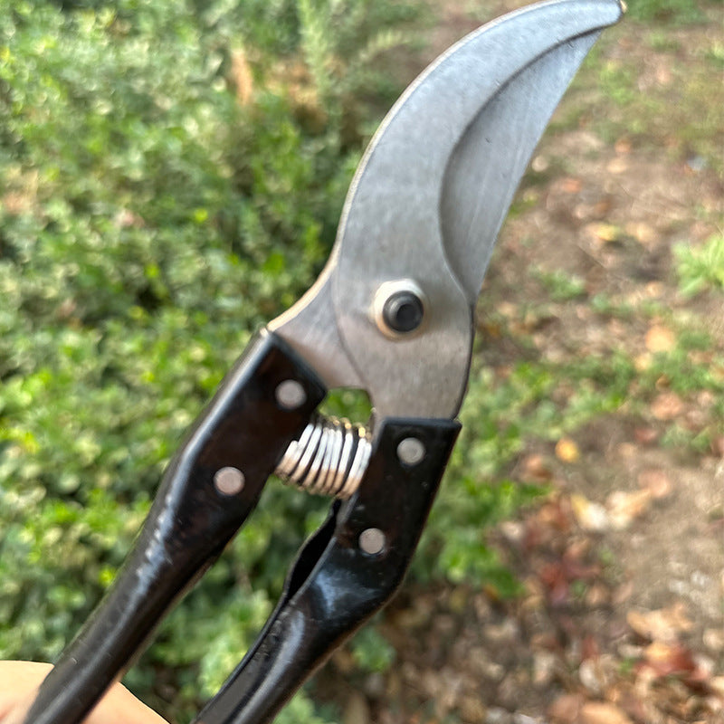 Präzisionsbypass-Gartenschneider mit ergonomischen rutschfesten Griffen Brehn