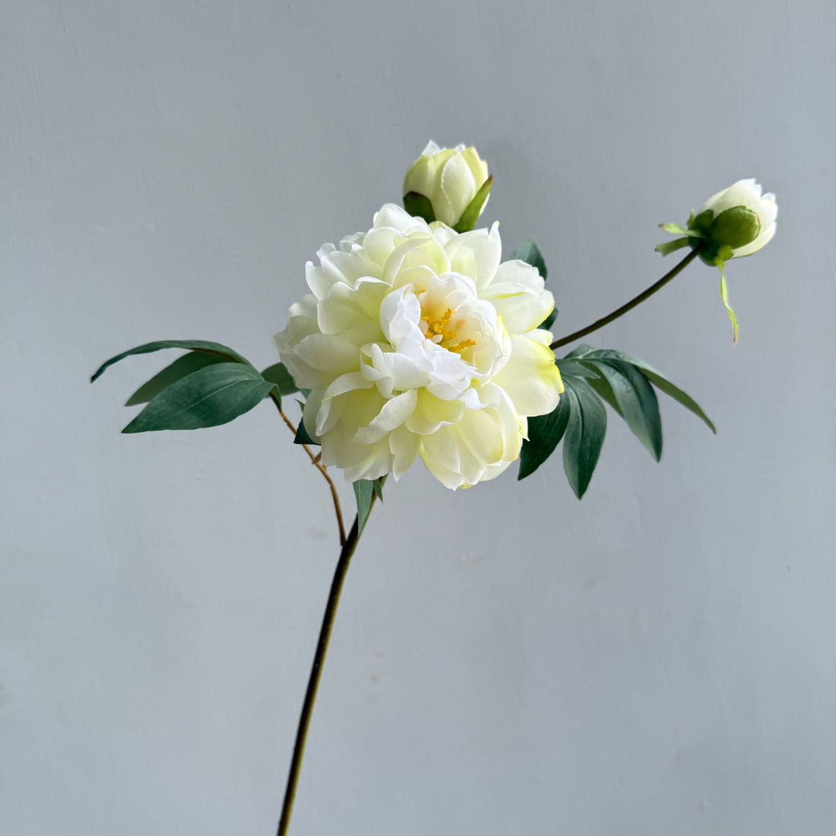 Dekorative Blumenarrangement